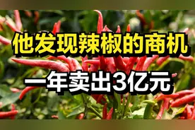他种的辣椒不一般，一亩辣椒能卖8000元，一年能卖出3亿元！视频封面
