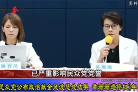 民众党公布政治献金风波惩处结果，黄珊珊被停权3年视频封面