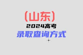 山东2024投档分公布：高考志愿填报录取查询，你查到了吗？