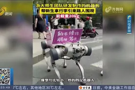 酷炫！浙大师生团队研发制造机器狗，帮新生拿行李，引来路人围观视频封面