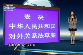 对外关系法是涉外法治体系建设重要里程碑视频封面