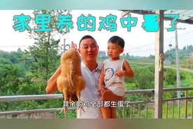 内江最近太热了，家里养的鸡都中暑了，只能含泪把它做来香喷喷的