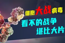 人体免疫细胞如何攻破病毒大军？一场看不见的战争，堪比科幻大片视频封面