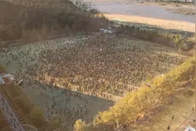 丧尸病毒在学校爆发，幸存的学生开启地狱生存模式，场面极其恐怖视频封面