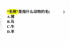 “毛病”是指什么动物的毛？是猪吗？难住学霸