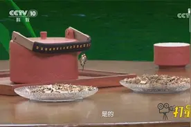 广藿香和藿香是什么关系？专家一一进行分析，听完就明白了视频封面