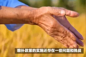 2024年粮补发放政策：农村粮补每亩多少钱？留言探讨。视频封面