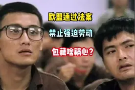 欧盟通过《禁止强迫劳动法》视频封面