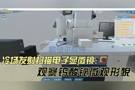 虚拟仿真实训软件冷场发射扫描电子显微镜——观察钨酸铋微观形貌视频封面