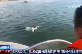 冷静自救！山东青岛 女子坠海 靠羽绒服漂浮海面终获救视频封面