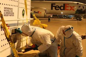 欢迎回家！大熊猫“美香”一家三口安全抵达成都 状态良好视频封面