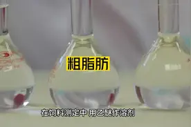 粗脂肪，反刍动物中脂肪的作用视频封面