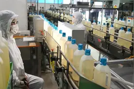 震撼的日本菜籽油生产过程，全自动化压榨包装，这才是科技的魅力