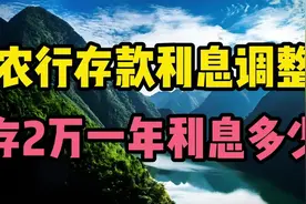 农行存款利息调整 两万块钱咋存最划算？视频封面