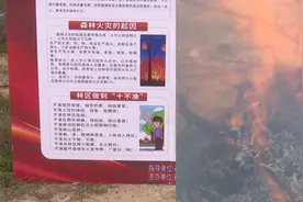 @所有人！文明祭扫绿色清明，森林防火十个“不要”要牢记！视频封面