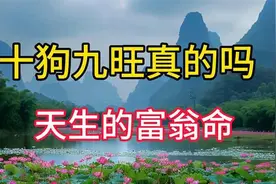 十狗九旺真的吗？阴历这几月生的属狗人超幸运，天生的富翁命视频封面