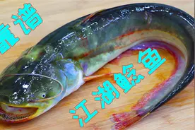 鲶鱼很多人都不喜欢吃，其实还是做法美搞对，这样做麻辣鲜嫩入味视频封面