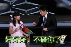 撒贝宁《挑战不可能》鹦鹉篇后续，“鹦鹉识途”震撼全场视频封面