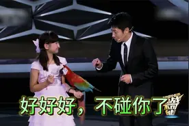 撒贝宁《挑战不可能》鹦鹉篇后续，“鹦鹉识途”震撼全场