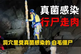 探索隐藏在密林中的深坑，发现受真菌感染的僵尸虫视频封面