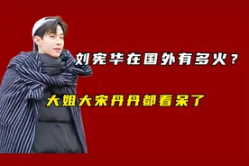 刘宪华在国外有多火？在机场被粉丝围堵，宋丹丹看的一脸呆滞！视频封面