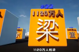 中国姓氏人数最多的前100名视频封面