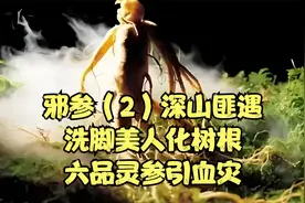 邪参（2）深山匪遇，洗脚美人化树根，六品灵参引血灾