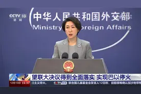 望联大决议得到全面落实 实现巴以停火视频封面