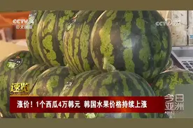 涨价！1个西瓜4万韩元 韩国水果价格持续上涨