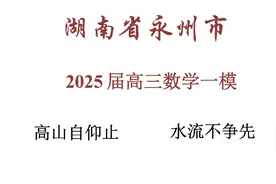 2025届湖南省永州市一模（高三数学解析）