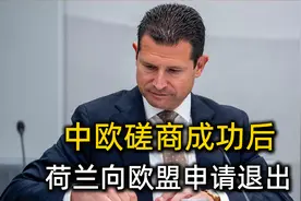 终于屈服了？中欧磋商成功后，荷兰向欧盟申请退出，对华态度转变视频封面
