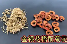 金银花搭配菊花！视频封面
