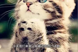 美国为什么要封禁TikTok？视频封面