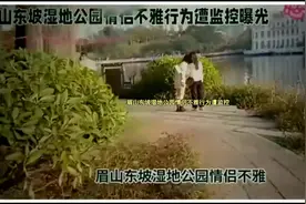 眉山东坡湿地公园情侣不雅行为遭监控视频封面