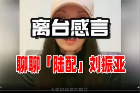 聊聊「陆配」刘振亚视频封面
