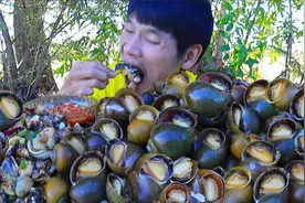泰国大叔又来吃福寿螺了，下锅煮一下蘸辣椒酱，一点不浪费视频封面
