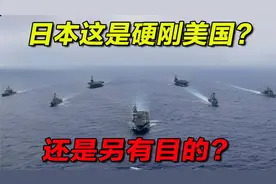 日本这是硬刚美国，还是另有目的 #国际局势 #美国cxvb
