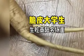 脆皮大学生生吃商陆名场面#搞笑#离谱#奇葩#整活#大学生#商陆