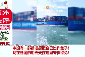 外网提问：胡塞武装为什么护航中国货轮，这里藏着什么秘密？视频封面