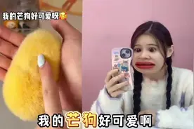 芒果核洗完变“小芒狗'！毛茸茸胖嘟嘟手感超好，真能DIY出来视频封面