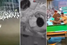 山东地震多地震感明显 监拍瞬间：鸭跑狗跳货架倒 人醒牛惊灯狂摇视频封面
