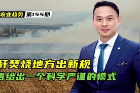 秸秆焚烧地方出新规，广西给出一个科学严谨的模式！值得学习借鉴视频封面