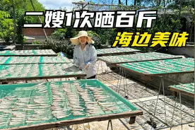 二嫂太能干了，二哥取到二嫂真幸运，直接躺赢视频封面
