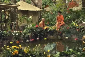 佛陀智慧：生死如影随形，一切法皆无常，看佛陀怎么说？视频封面