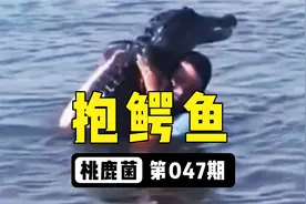 鳄有男人抱视频封面