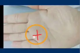 命中“偏财运”极旺的三种手相