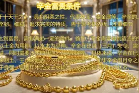 辛金富贵条件视频封面