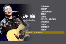 许巍十大经典歌曲故乡 曾经的你 蓝莲花 完美生活 像风一样自由