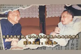 改革开放时期，邓小平本打算设上海为经济特区，陈云反对：不能加视频封面