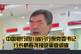 中国银行四川省分行原党委书记、行长葛春尧接受审查调查视频封面